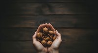 Handful of almonds held in cupped hands against dark wooden surface, representing healthy snacking, nutrition, and natural food ingredients.