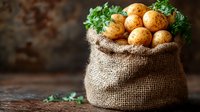 Fresh raw potatoes in rustic burlap sack with green parsley leaves on dark wooden background, selective focus with copy space for farm market design.