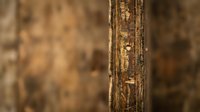 Weathered wooden post with peeling bark and natural texture against blurred rustic background for organic design projects.