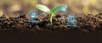 Young green plant seedling emerging from rich dark soil with digital icons representing sustainable agriculture and environmental growth concepts.
