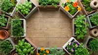 Overhead view of wooden raised garden beds arranged in circle with fresh vegetables and flowering plants on grass, ideal for gardening and agriculture content.