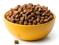 Dry brown pet food kibbles in bright yellow ceramic bowl isolated on white background, nutritious animal meal for dogs or cats.