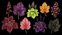 Autumn and spring leaf collection with decorative botanical elements isolated on transparent background, ready for t-shirt design, clipart, stickers, sublimation and print-on-demand projects.