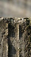 Weathered concrete surface with deep vertical grooves and lichen growth, showing aged texture and natural deterioration for construction, architecture, or industrial design projects.