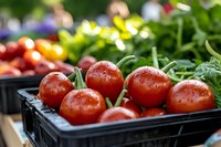 Fresh ripe red tomatoes with water droplets in black plastic crate at farmers market with colorful vegetables blurred in background for healthy eating.