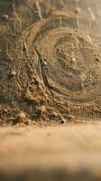 Spiral fossil imprint preserved in ancient sedimentary rock formation showing detailed geological patterns and natural history evidence for educational content.