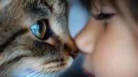 Close-up macro shot of cat eye meeting child's face, showing intimate connection between pet and young owner. Emotional bonding moment captured in soft focus.