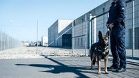 Security guard with German Shepherd dog patrolling industrial facility perimeter during daytime shift for safety and protection services.