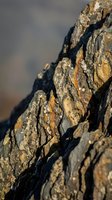 Weathered rock formation with detailed texture and natural erosion patterns in warm sunlight for geology and nature backgrounds.