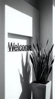 Welcome sign on a sunlit wall beside a potted snake plant, dramatic shadows in black and white interior decor photography.