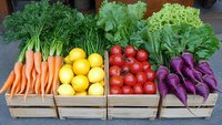 Fresh organic produce in wooden crates arranged in colorful rows including carrots, lemons, tomatoes and purple carrots with green tops, suitable for healthy eating concepts.