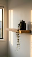Wooden floating shelf with black ceramic pot and trailing ivy plant in sunlit minimalist interior space for home decor styling.
