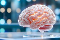 Glowing anatomical brain model with orange inner illumination on blurred blue bokeh background shows neural activity and consciousness concept.