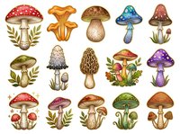 Isolated mushroom and toadstool collection featuring various species in vintage botanical style. Includes red, purple, golden and brown fungi with decorative foliage elements. Ready for design projects.