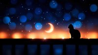 Black cat silhouette sitting on fence against magical night sky with crescent moon, stars and blue bokeh lights creating dreamy atmosphere at sunset.