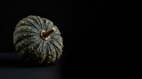 Dried gourd with textured surface and central opening isolated on black background, suitable for still life, autumn decor, and design projects.