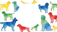 Colorful watercolor dog silhouettes in various breeds and poses on white background. Pet care, veterinary services, animal lover designs.