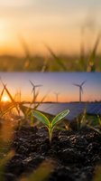Green seedling sprouting from soil at sunrise with wind turbines in background representing renewable energy and sustainable growth concept.