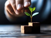 Young green plant growing on wooden blocks showing progress steps with hand reaching, representing business growth, success and environmental sustainability.