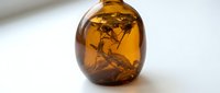 Amber glass bottle with dried botanical specimens suspended inside, showcasing natural preservation and decorative storage for wellness, aromatherapy, or botanical collection display purposes.