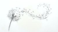 Dandelion seeds floating in wind on light background creating natural dispersal pattern for botanical and nature concepts.