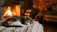 Cozy tabby cat sleeping on knitted blanket by warm fireplace in rustic brick interior creating peaceful home atmosphere for relaxation and comfort concepts.