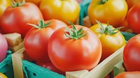 Fresh ripe red and yellow tomatoes in wooden crates and turquoise baskets at farmers market, close up view of organic produce for healthy eating.