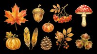 Autumn fall season elements collection featuring maple leaf, acorn, rowan berries, mushroom, pumpkins, wheat, pinecone, and hazelnuts isolated on transparent background. Ready for t-shirt designs, clipart, stickers, and print-on-demand projects.