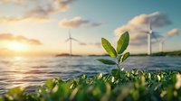 Young green plant growing by water with wind turbines and sunset in background, representing sustainable development and renewable energy solutions.