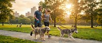 Active couple walking dogs in a sunny urban park at golden hour, green trees and city skyline in background, healthy lifestyle concept.