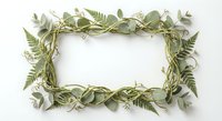 Natural green foliage frame border made of eucalyptus leaves and fern branches on white background, perfect for botanical design projects and invitations.