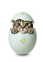 Tabby cat emerging from pastel green Easter egg decorated with yellow and blue flowers, isolated on white background for greeting cards, children's illustrations, and holiday designs.