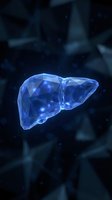 Blue translucent liver organ with polygonal surface floating in dark medical background for healthcare and anatomy education presentations.