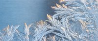 Delicate frost crystals forming intricate ice patterns on blue surface during winter morning. Natural frozen texture with sparkling details for seasonal designs.