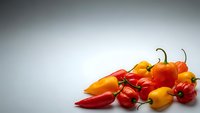 Colorful hot chili peppers in red, orange and yellow varieties arranged on white background for culinary and cooking projects.
