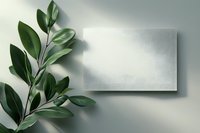 Green leaves branch with blank paper card on gray background with natural shadow overlay, minimal elegant design for branding mockup.