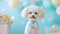 Adorable white maltese dog wearing mint bow tie against soft pastel bokeh background for pet grooming salon marketing materials and spring campaigns.