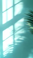 Window light and palm leaf shadow on mint green wall creates soft minimalist composition with natural sunlight patterns and tropical elements.