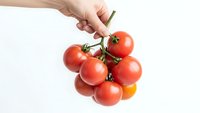 Hand holding fresh ripe tomatoes on vine against white background. Organic red tomatoes cluster for healthy cooking and nutrition concepts.