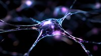 Glowing neuron cell with synaptic connections in purple and blue light, neural network structure for medical education and neuroscience research presentations.