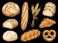 Assorted fresh baked bread collection isolated on transparent background. Includes round loaf, baguette, wheat stalks, sliced bread, croissant, braided loaf, pretzel and rolls. Ready for bakery designs, menus, t-shirts and print projects.