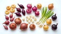 Assorted fresh onion varieties including red, yellow, white, shallots and scallions arranged on white background for cooking and culinary ingredients.
