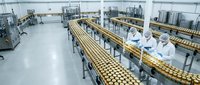 Industrial food production line with workers in white uniforms and hairnets monitoring automated conveyor belt system in modern sterile factory facility.