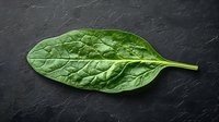 Fresh green spinach leaf with detailed texture and veins on dark concrete background, raw organic produce for healthy eating and cooking.