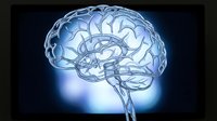 Glowing blue brain anatomy illustration with neural pathways and cerebral cortex structure for medical education and neuroscience research presentations.