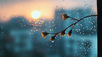 Delicate flower silhouettes against sunset sky with raindrops on window glass creating dreamy bokeh effect. Moody nature photography with soft focus background.