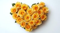 Yellow roses arranged in heart shape on white background, romantic floral composition with fresh blooming flowers for wedding, anniversary or Valentine's day celebration.