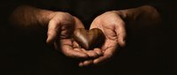 Open cupped hands of mature man against dark background showing gesture of receiving, giving or protection in warm lighting for charity concepts.