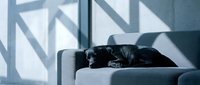Young woman with dark hair and fair complexion resting on gray sofa against industrial window backdrop with geometric shadows, wearing black clothing, suitable for lifestyle and wellness content.
