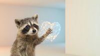 Adorable raccoon reaching toward glowing heart symbol with magical light effects on soft pastel background for romantic and love concepts.